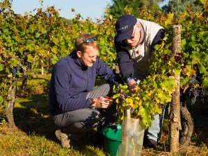 2014_09_vendanges-CdB-3059