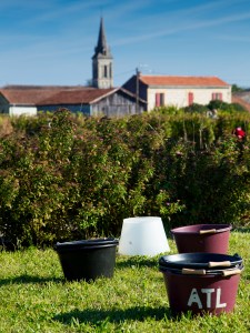 2014_09_vendanges-CdB-3080