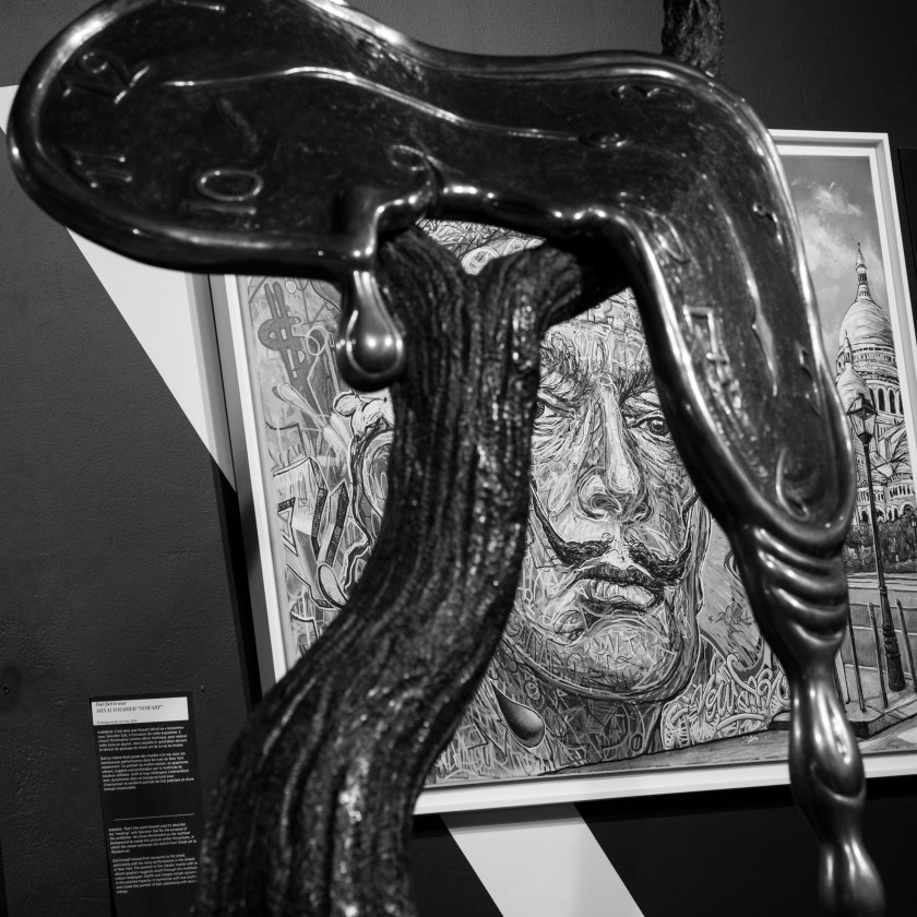 espace_dali_paris_2015_03-6642