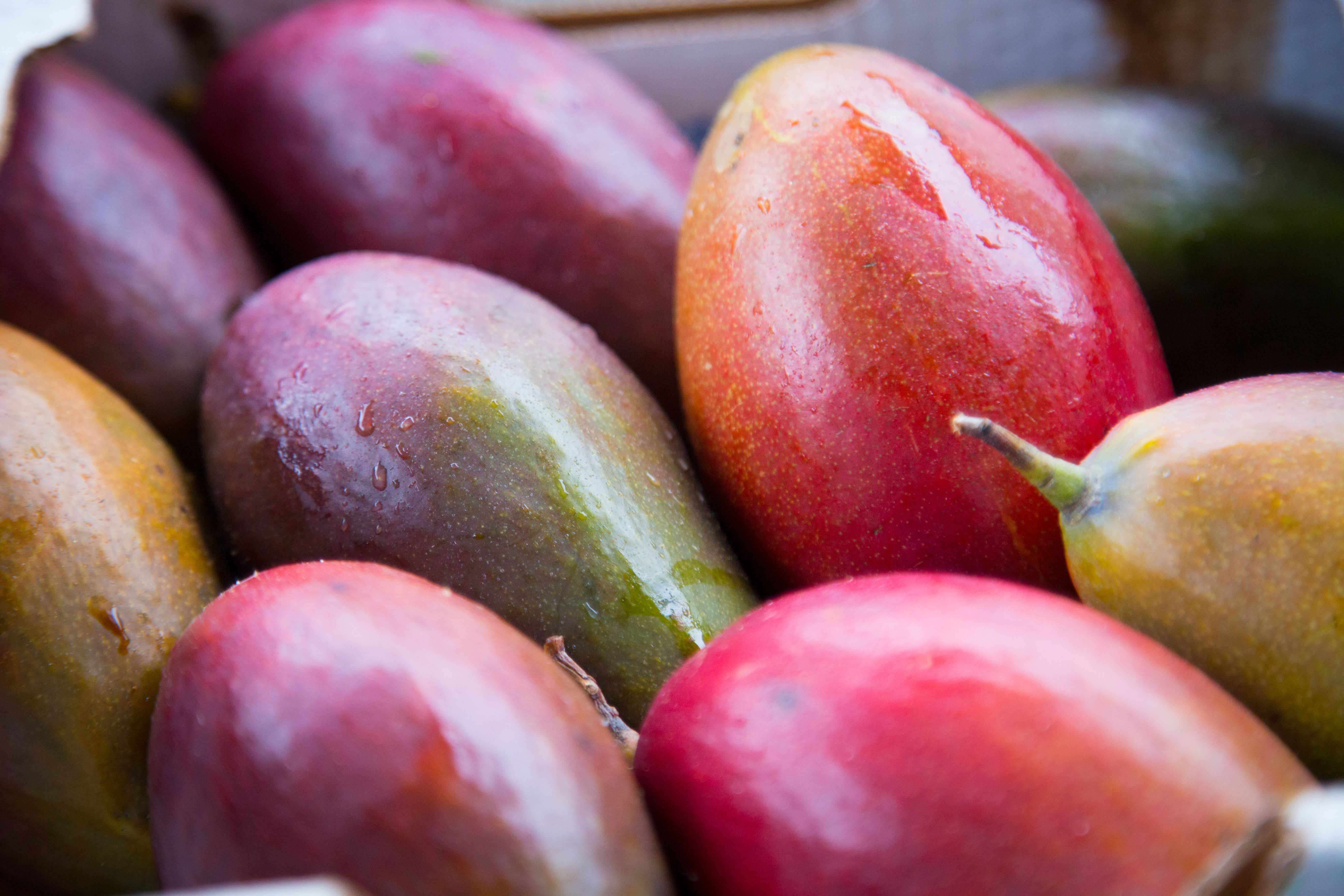 mangues-marche-antony-9389