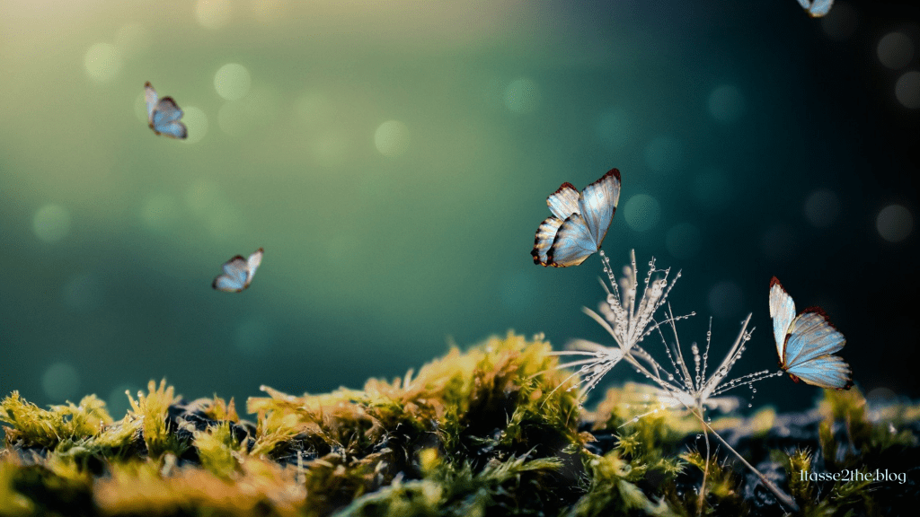 Des papillons dans la tasse